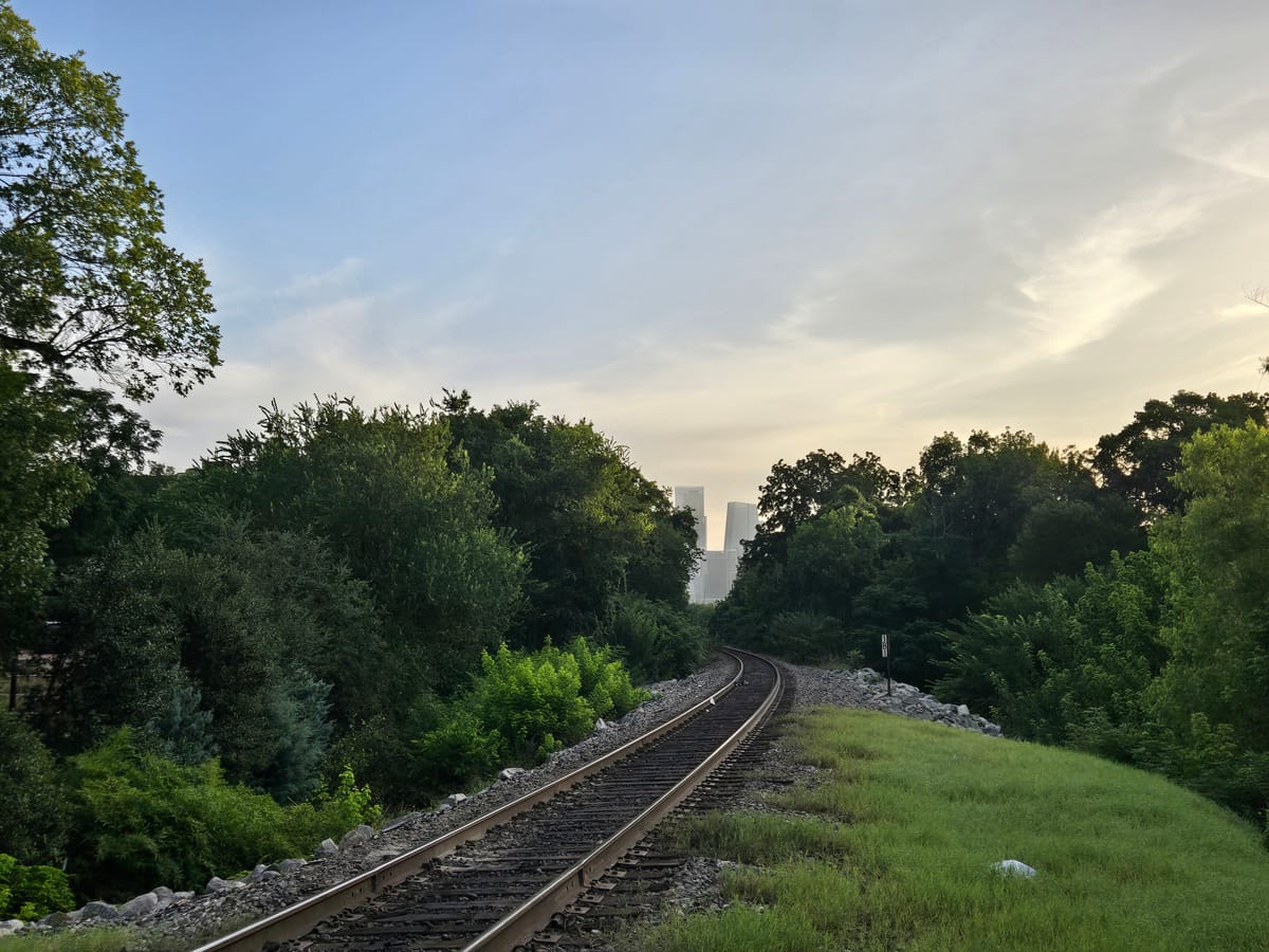 A ramble and a review 🌸