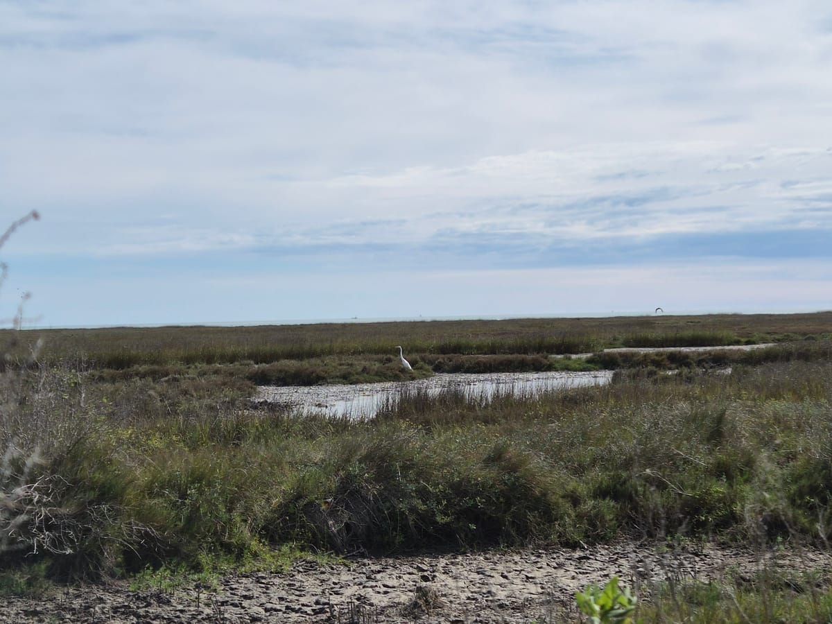 Bite-sized updates from the week