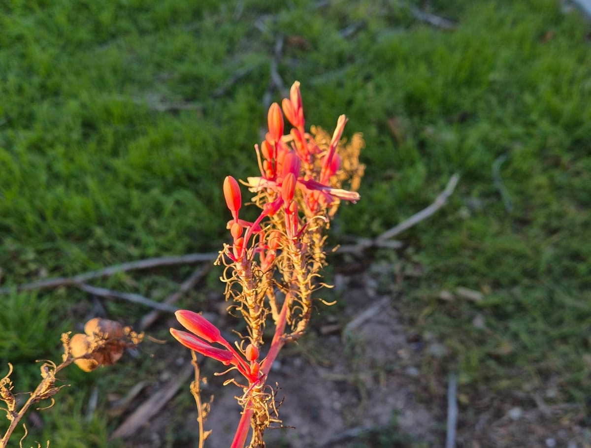 One year of Trump: despite the horror, there is hope.