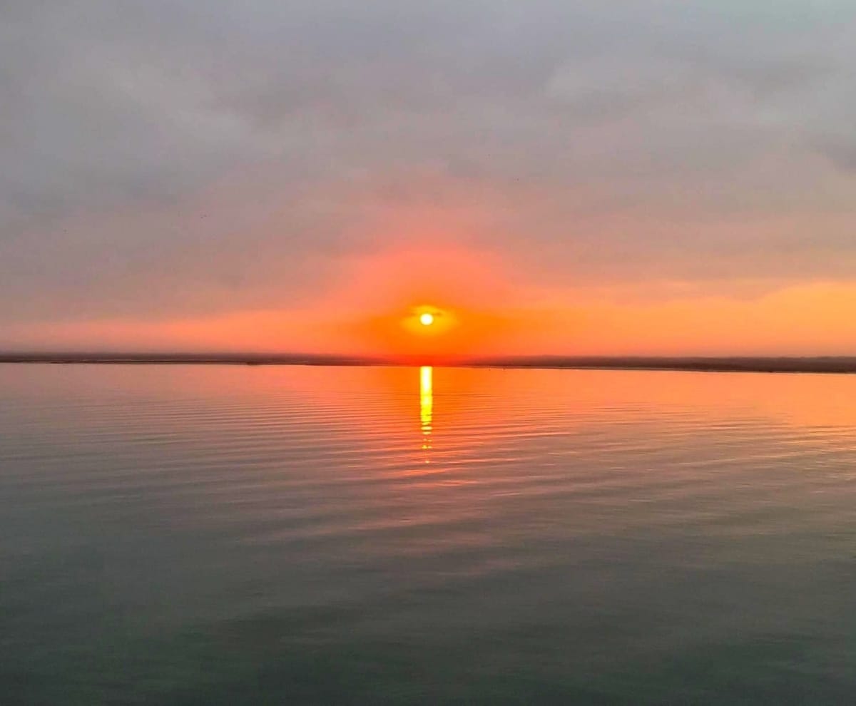 It's feeling like a new dawn 🌅