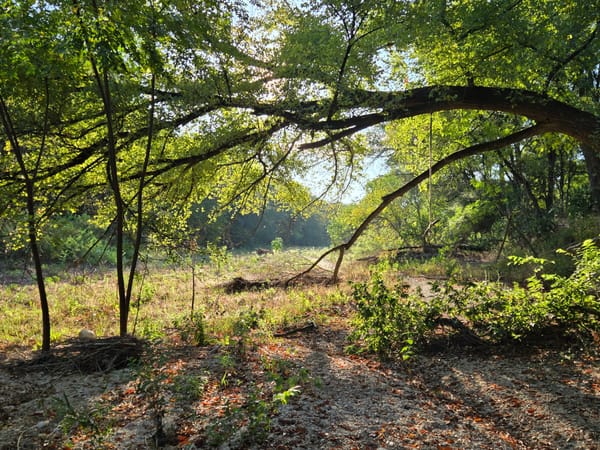 I finished my hat! 🎉🧶 and one million other topics