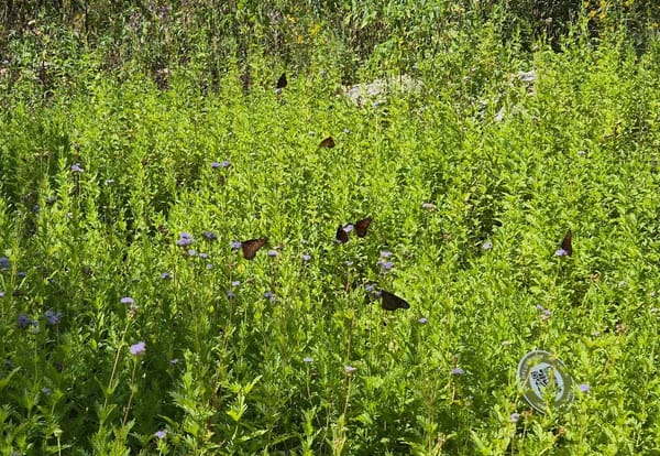 How I recovered from doomscrolling 💊