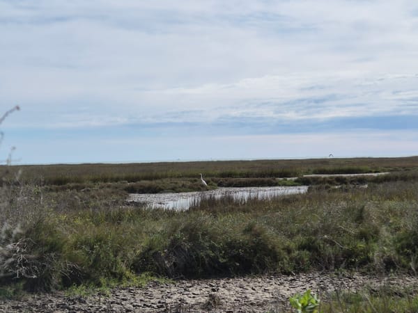 Bite-sized updates from the week