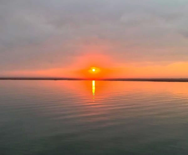 It's feeling like a new dawn 🌅